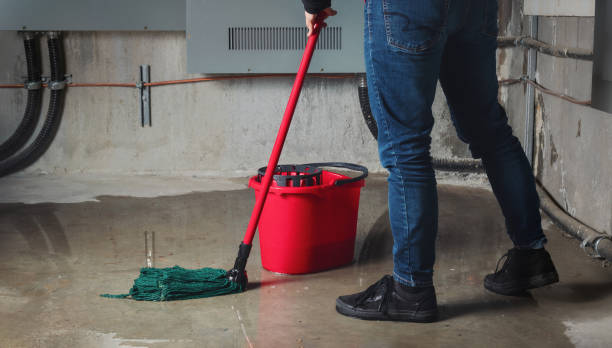 Best Professional water damage repair  in Honokaa, HI