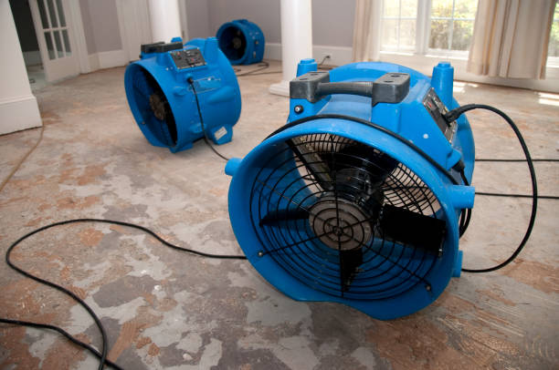 Best Commercial water damage restoration  in Honokaa, HI