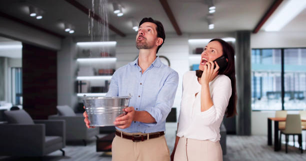 Best Water damage cleanup near me  in Honokaa, HI