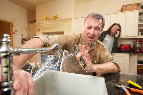 Best Ceiling water damage repair  in Honokaa, HI